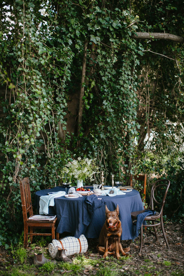 Duck Egg Blue Linen Napkins - Set Of Four