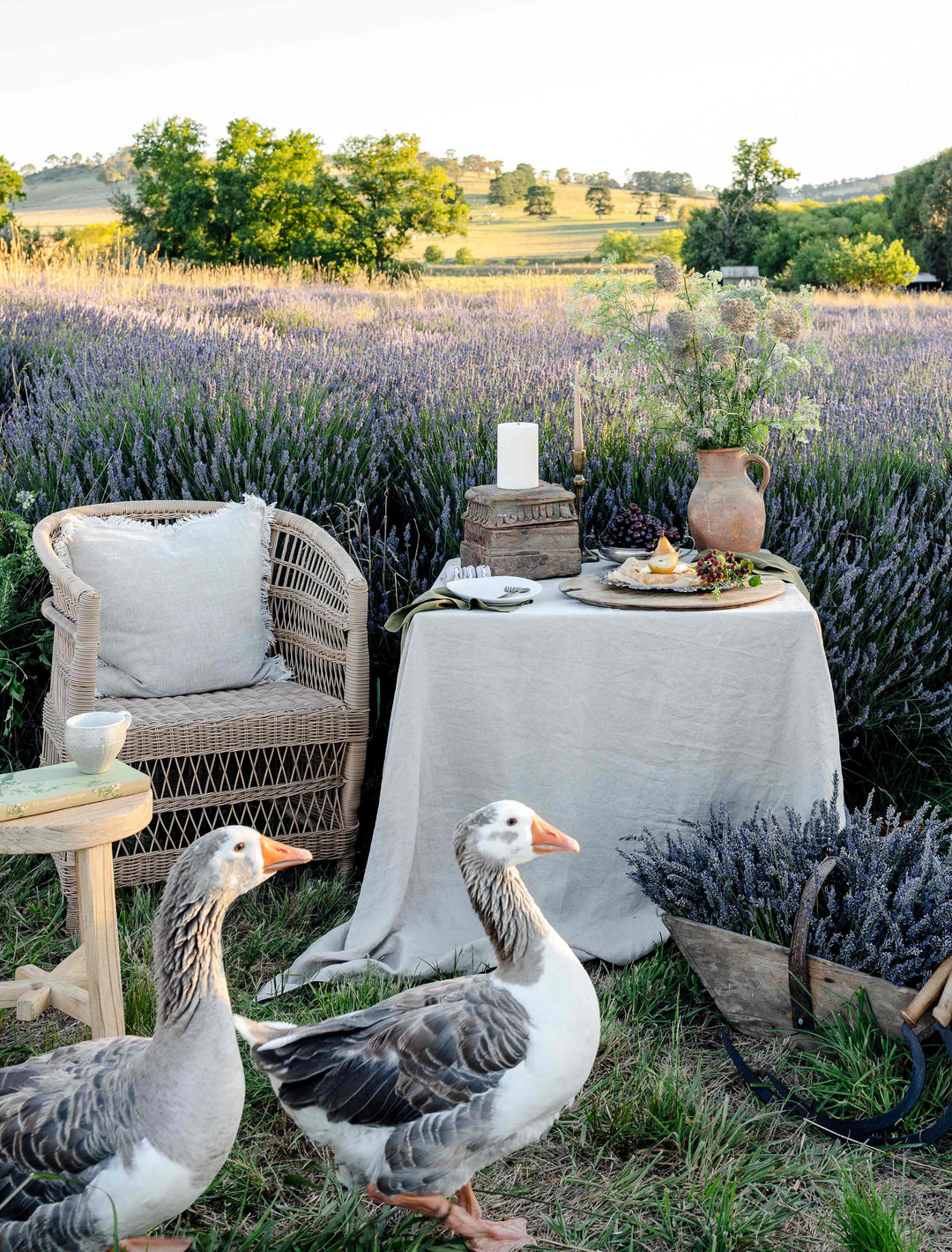 Bircher Natural Linen Tablecloth